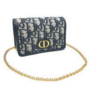 Christian Dior Montaigne Pouch YU